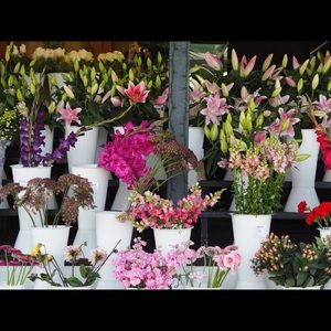 Meet your Posher, Bonnie